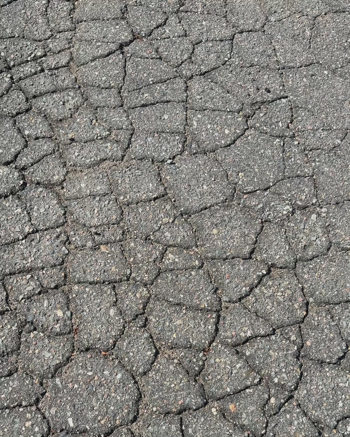 Gator-Nado Crackfiller – Professional Pavement Crack Sealant (4.75 Gallon Bucket)
